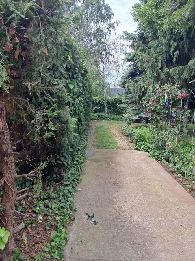 2 Rooms Retro Guesthouse In A Silent Garden Vecsés Zewnętrze zdjęcie