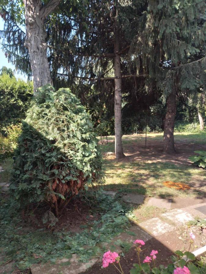 2 Rooms Retro Guesthouse In A Silent Garden Vecsés Zewnętrze zdjęcie
