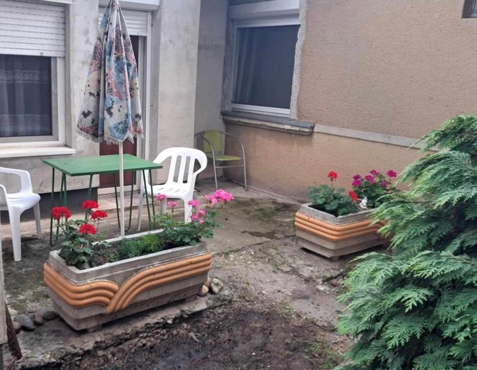 2 Rooms Retro Guesthouse In A Silent Garden Vecsés Zewnętrze zdjęcie
