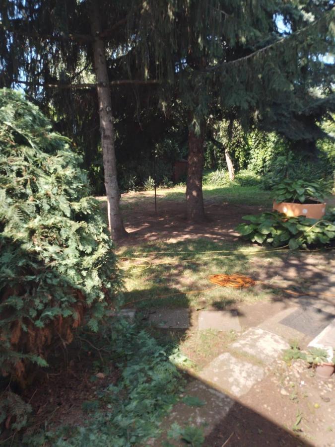 2 Rooms Retro Guesthouse In A Silent Garden Vecsés Zewnętrze zdjęcie